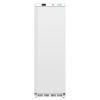 Polar vriezer - 365 liter - CD613